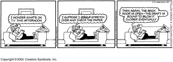 andycapp